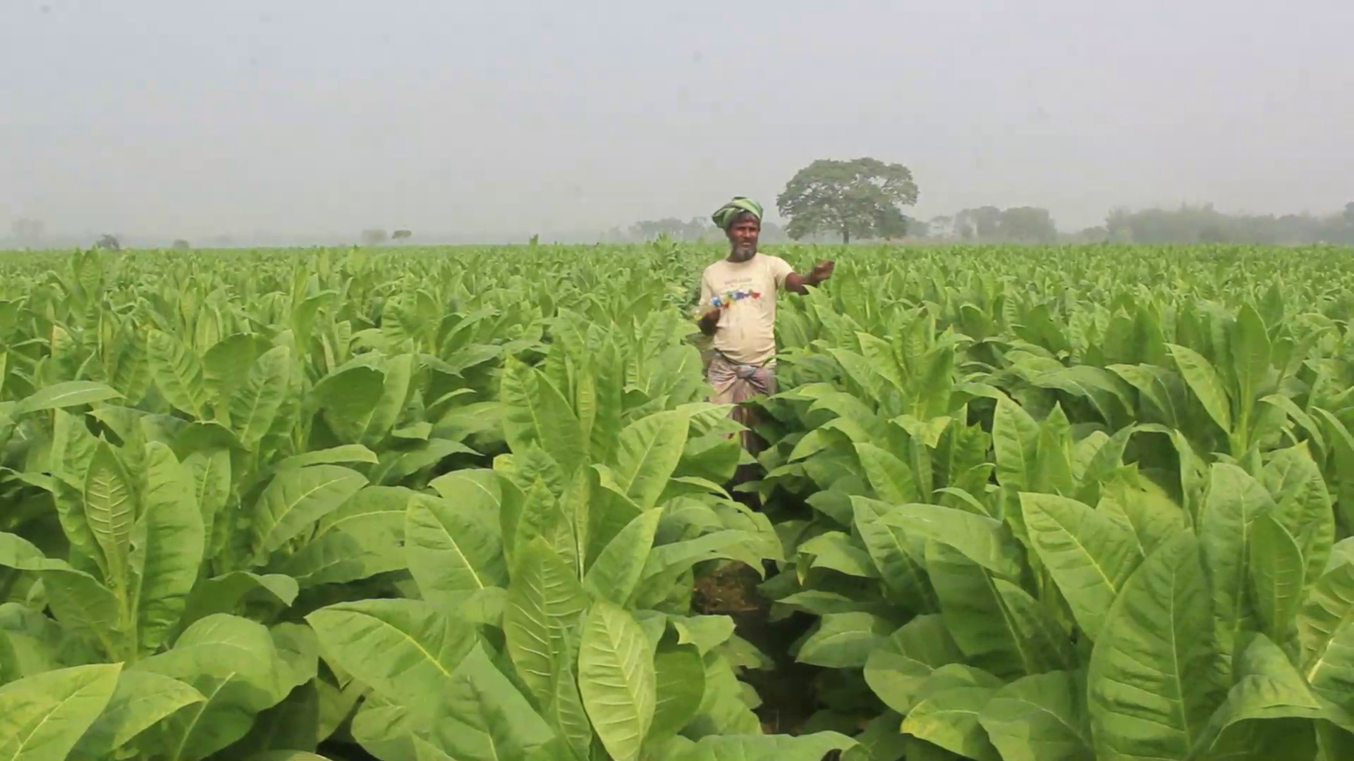 Qora charm paypoq kiygan lezbiyenlar Semiz gomoseksuallarni tomosha qiling